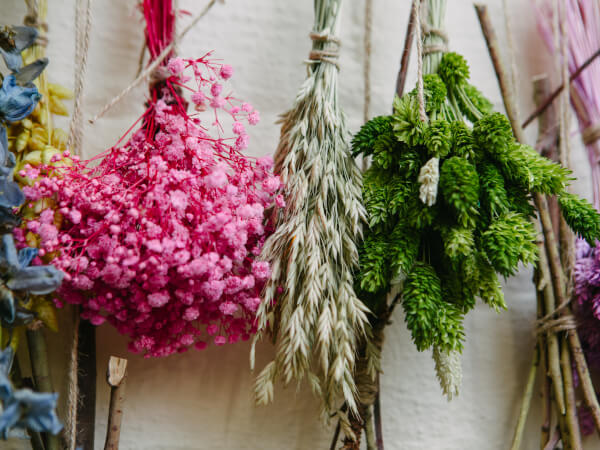 2026 Autumn Checklist: 19 Activities for a Whimsical Autumn