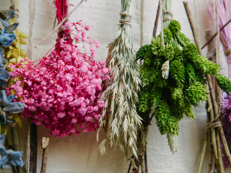 2026 Autumn Checklist: 19 Activities for a Whimsical Autumn