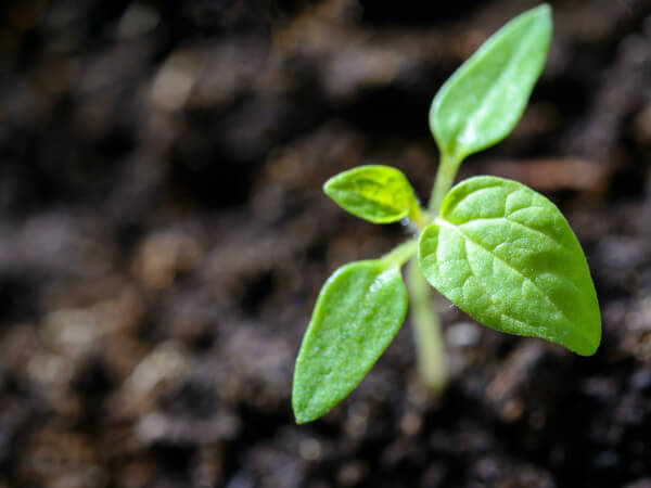 5 Best Eco-friendly Craft Kits for 2026