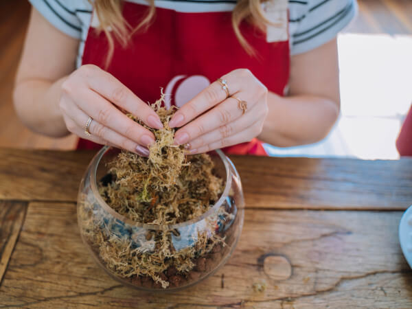 Cool London Mother's Day Ideas for the Nature Loving Mum