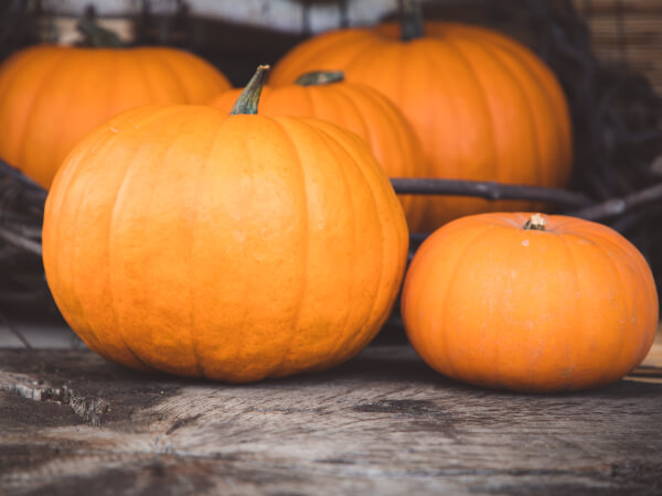Halloween Craft Ideas for Spooky Season