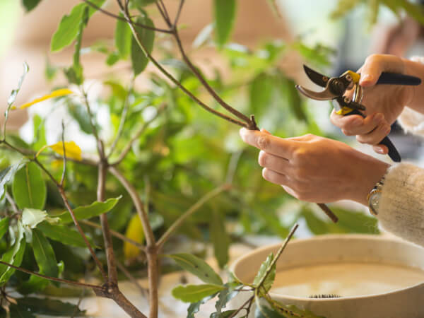 Let Your Interior Style Blossom with Manchester Floristry Classes