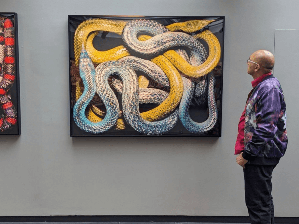 Tabish Khan: The ClassBento Judge Making Art Accessible to All