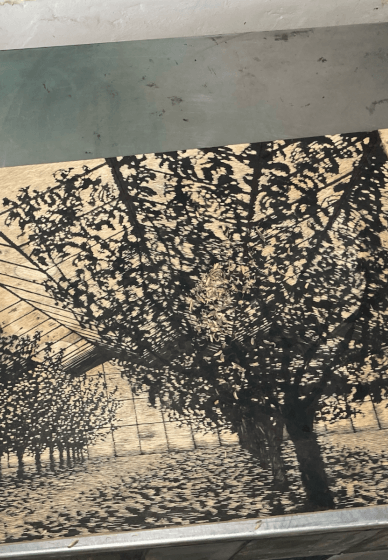 3-Day Woodcut Printmaking Course for Beginners