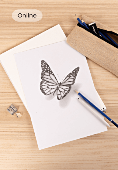 3D Butterfly Sketching Class