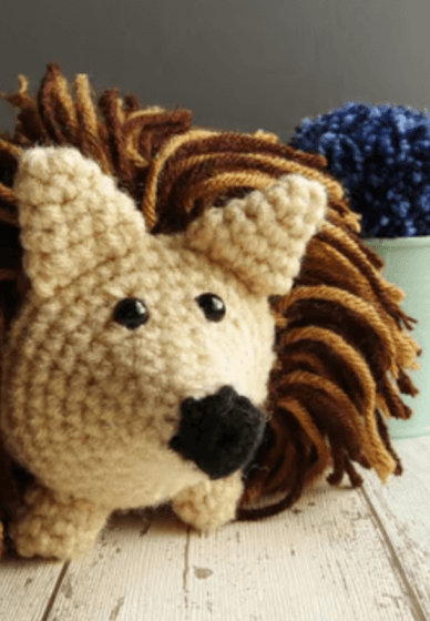 3D Hedgehog Crochet Class