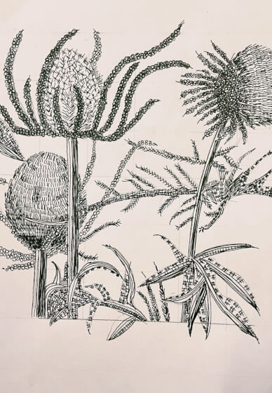 Animal Mark Making Workshop