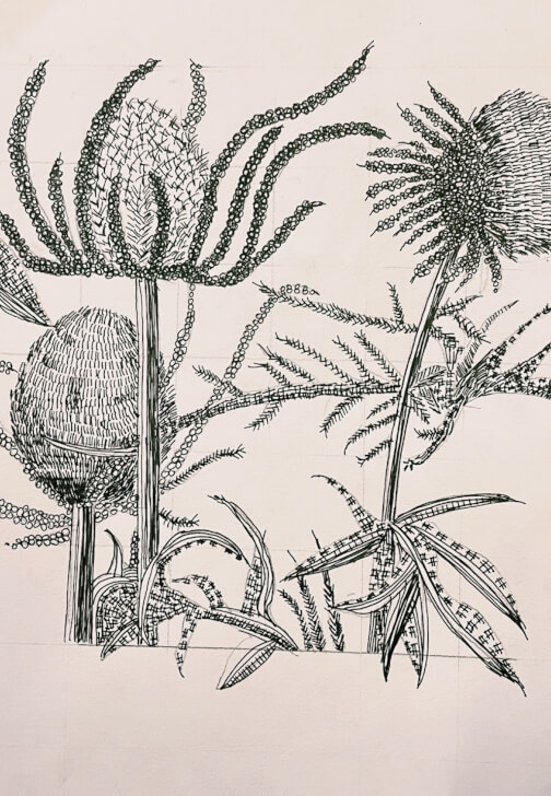 Animal Mark Making Workshop