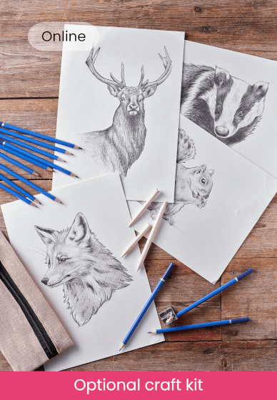 Beginner's Guide to Sketching Wildlife Class