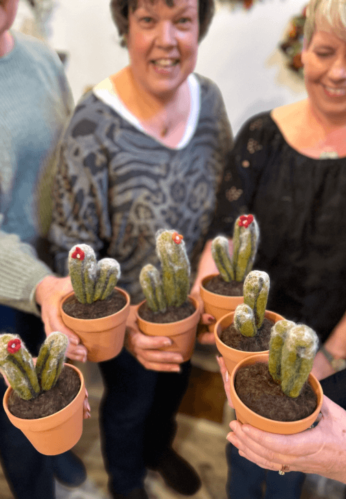 Beginners Needle Felted Potted Cactus Workshop