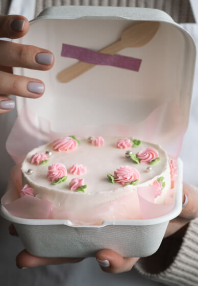 Bento Lunch Box Cake Decorating Workshop