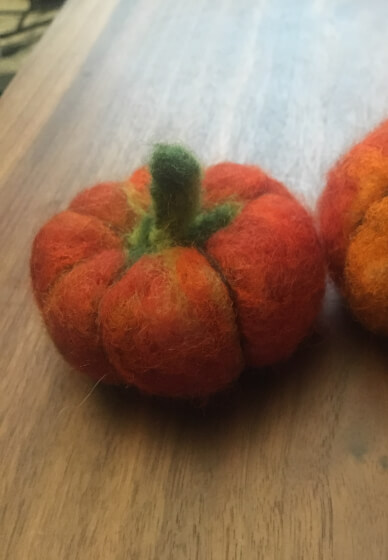 Big Needle Felting Workshop – Autumn Edition