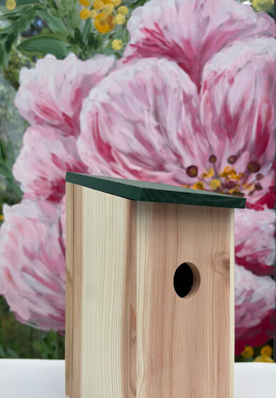 Birdhouse Painting Class