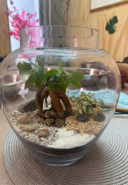 Bonsai Tree Terrarium Making Workshop