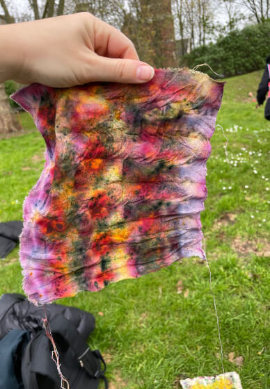 Botanical Dyeing Class for Children and Families