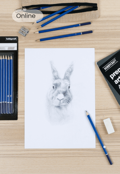 Bunny Sketching Class