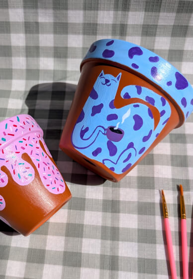 BYOB Paint and Sip Workshop – Plant Pot Party