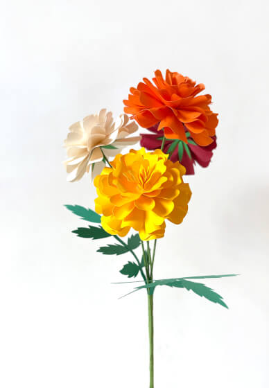 Cardstock Marigold Physical Workshop