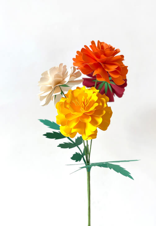 Cardstock Marigold Physical Workshop