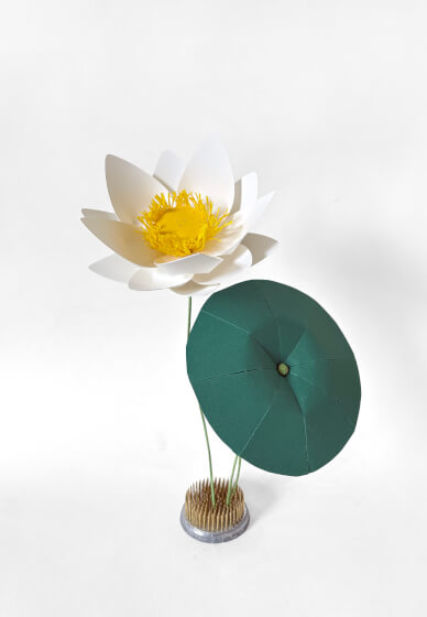 Cardstock White Lotus Physical Workshop