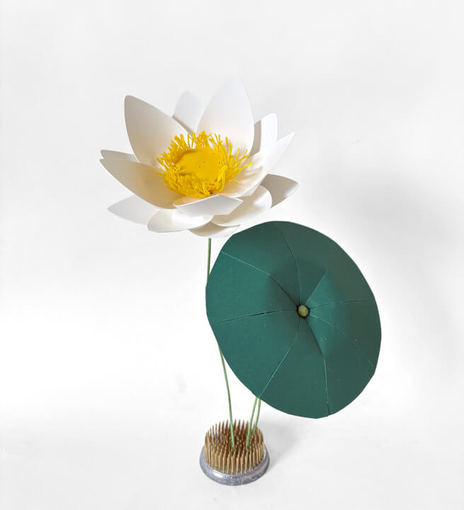 Cardstock White Lotus Physical Workshop