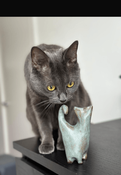 Ceramic Cat Workshop