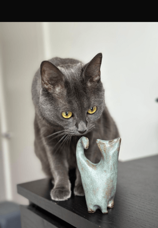 Ceramic Cat Workshop