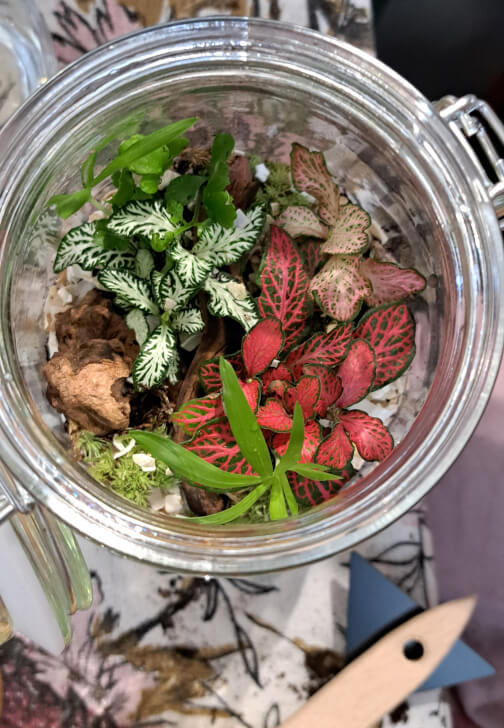 Closed Terrarium Workshop