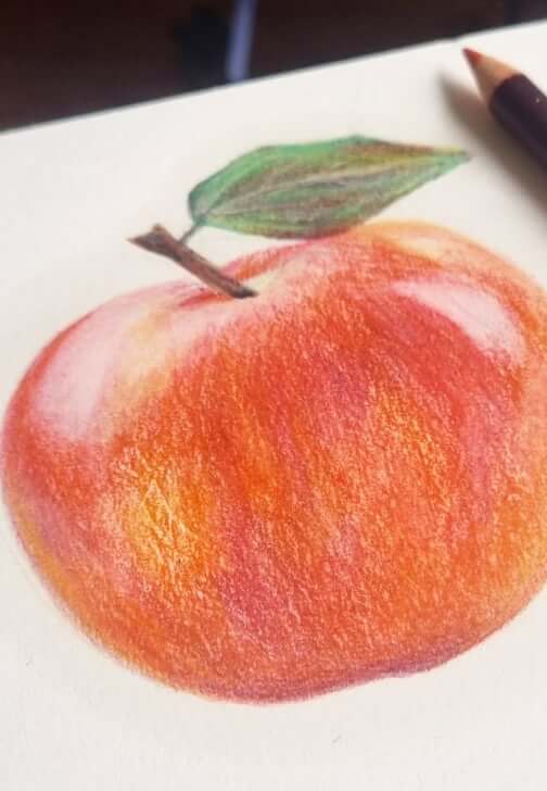 Coloured Pencils Workshop