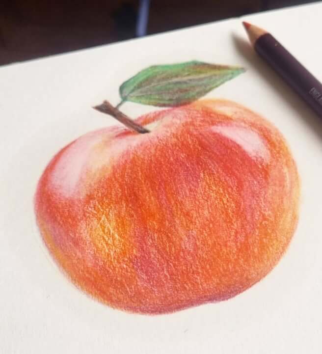 Coloured Pencils Workshop