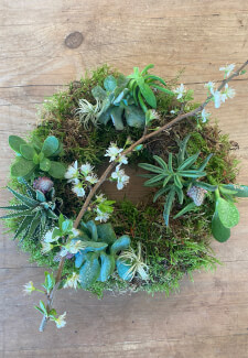 Create a Living Wreath Workshop