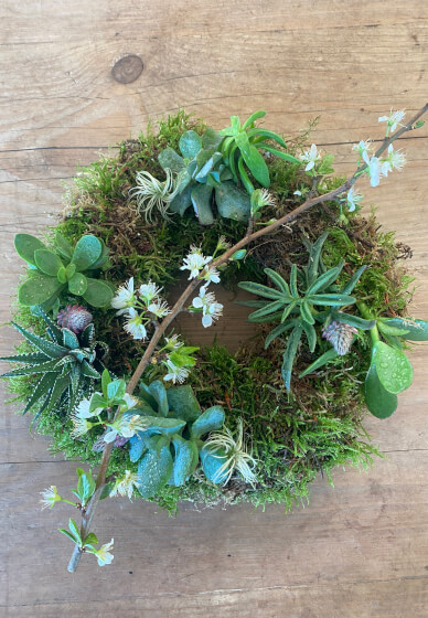 Create a Living Wreath Workshop