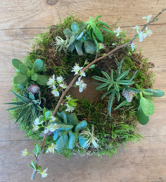 Create a Living Wreath Workshop