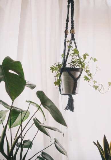 Create a Macramé Plant Hanger at Home