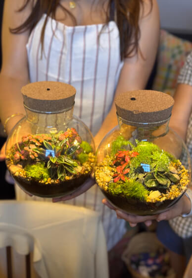 Create Your Own LED Terrarium Workshop