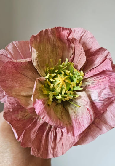 Crepe Paper Flower Making Workshop