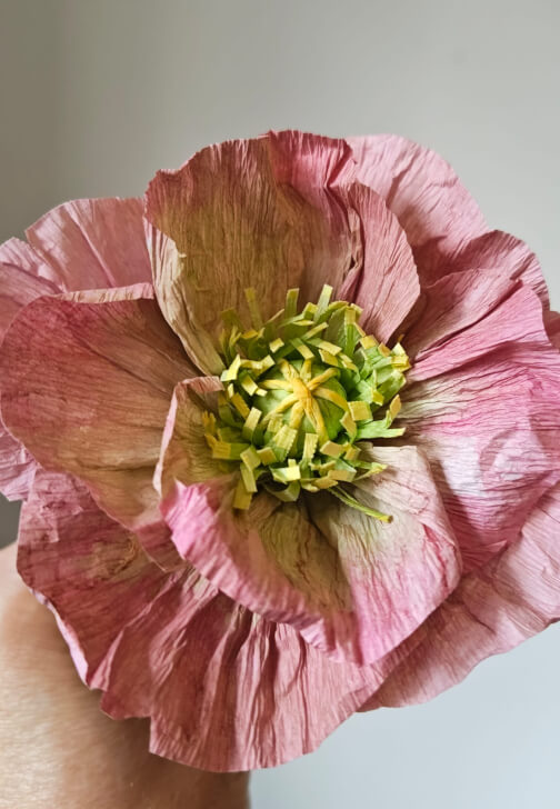 Crepe Paper Flower Making Workshop