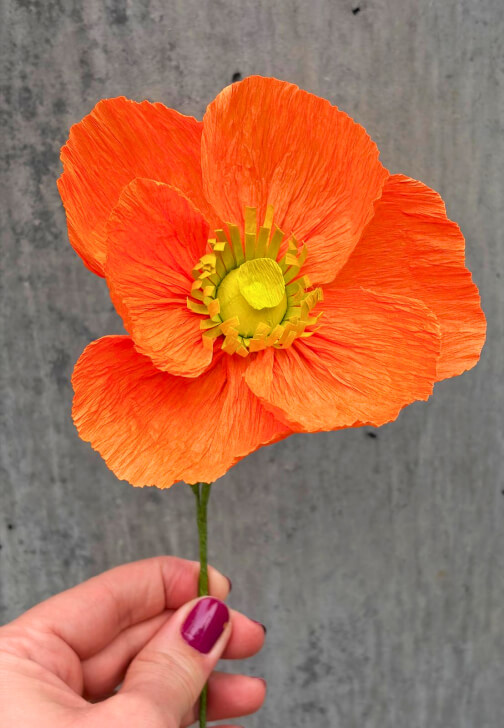 Crepe Paper Icelandic Poppy Workshop