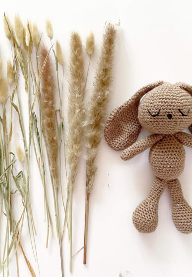 Crochet a Cute Amigurumi Bunny