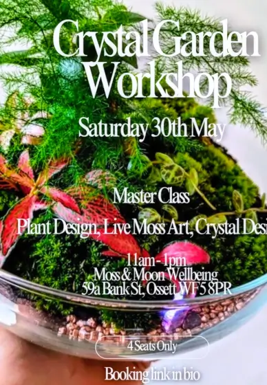 Crystal Garden Terrarium Workshop