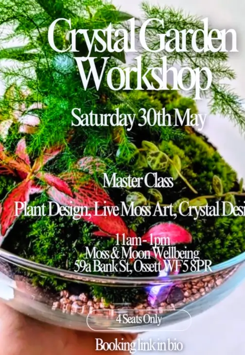 Crystal Garden Terrarium Workshop