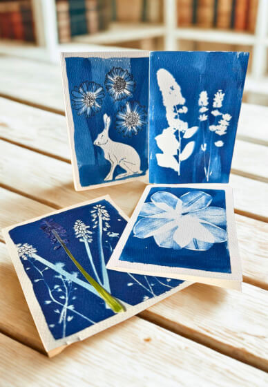 Cyanotype Half Day Workshop