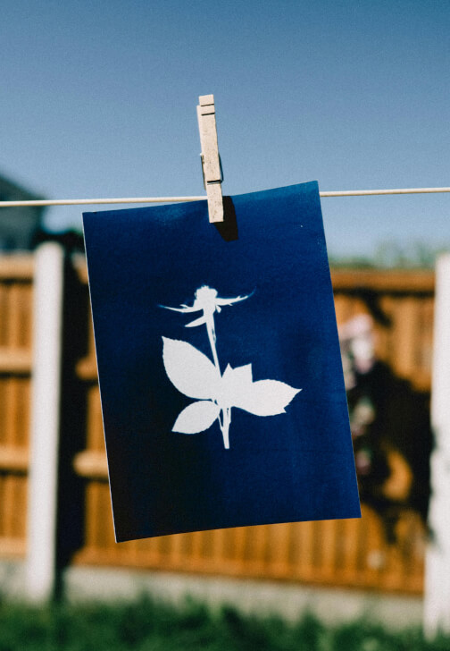 Cyanotype Printing and Mixed-Media Art Workshop