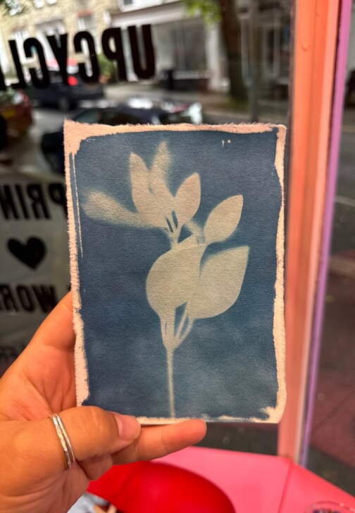 Cyanotype Workshop