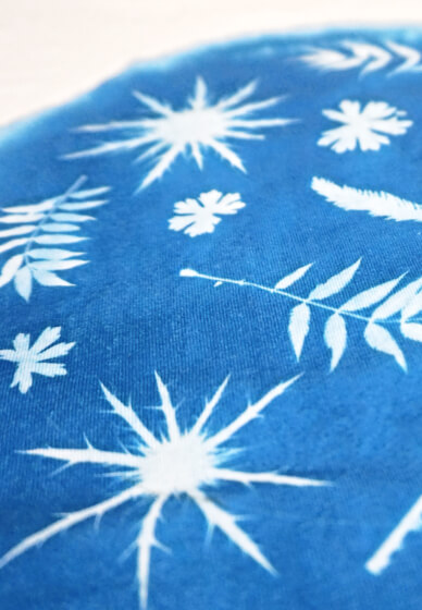 Cyanotype Workshop: Botanical Print T-Shirts
