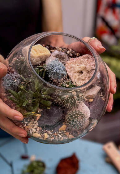 Desert in a Glass: Open Terrarium Workshop with Cacti and Succulent