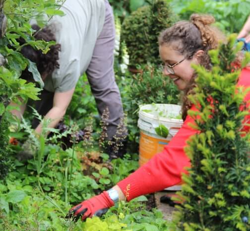 Designing a London Garden