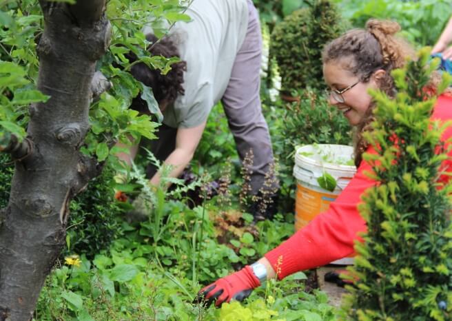 Designing a London Garden