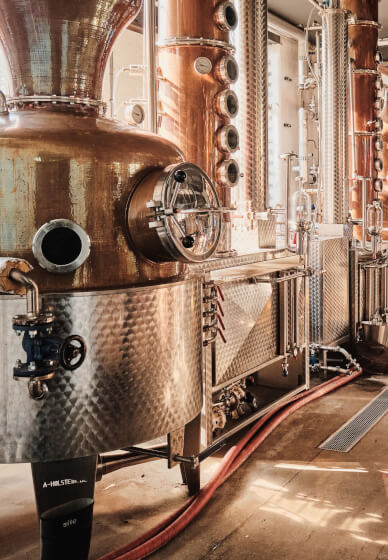 Distillery Tour and Gin Tasting Experience