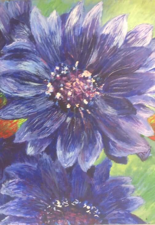 Drawing and Painting Course - Advanced